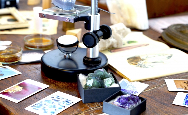 A.D.NÉEL（エイ・ディー・ネイル）ヴィーナスフォート店