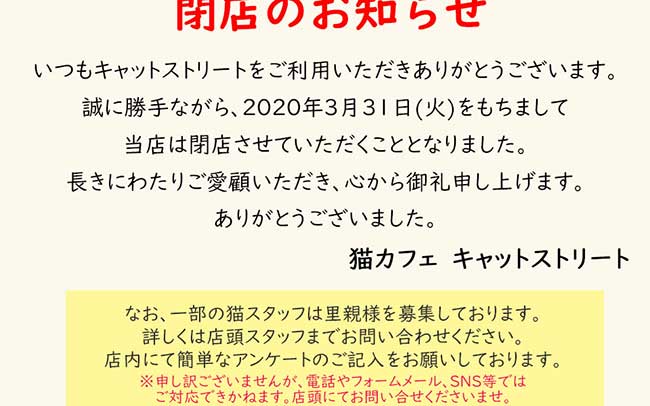 猫カフェ キャットストリート