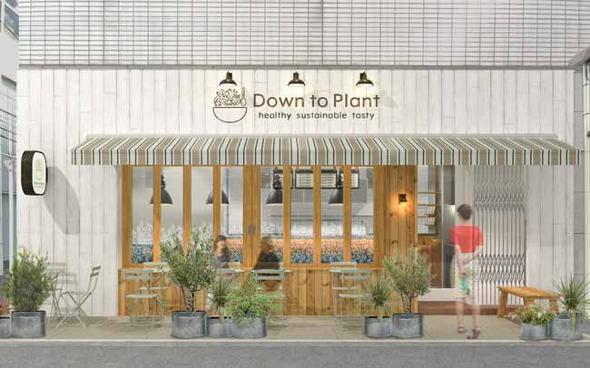 Down to Plant 六本木店