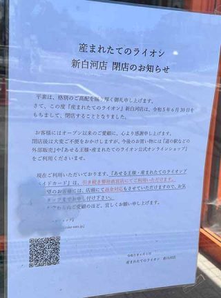 産まれたてのライオン 新白河店